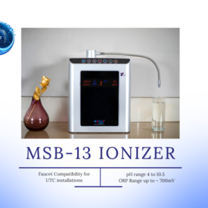 13 Plates Ionizer