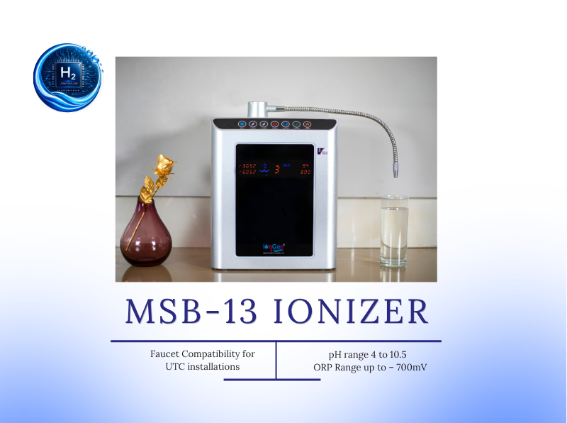 msb 13 front