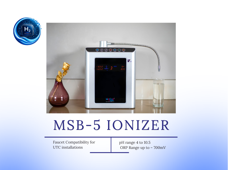 msb 5 front